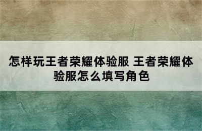 怎样玩王者荣耀体验服 王者荣耀体验服怎么填写角色